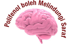 brain_6-1