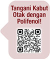 brain_7-1
