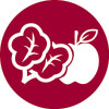 Polyphenol_3