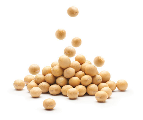 health_3